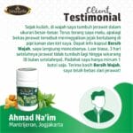 BERSIH WAJAH - Herbal Jerawat Alami - Gambar 3