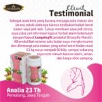 LANGSINGFIT - Pelangsing Herbal & Fat Burn - Gambar 2