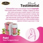 LANGSINGFIT - Pelangsing Herbal & Fat Burn - Gambar 4