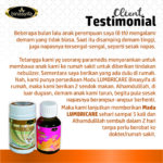LUMBRICARE - Herbal Penurun Panas - Gambar 2