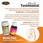 LUMBRICARE - Herbal Penurun Panas - Gambar 3