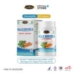 GLUCOSYIFA - Atasi Diabetes Dari Sumbernya