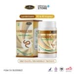 LUMBRICARE - Herbal Penurun Panas